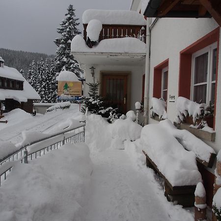 Haus Sommerberg Feldberg  Eksteriør billede