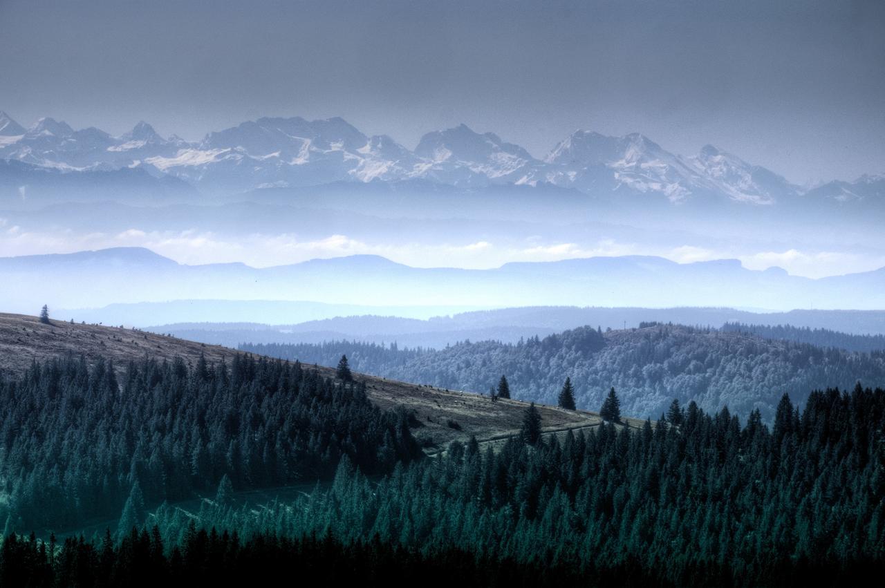 Haus Sommerberg Feldberg  Eksteriør billede